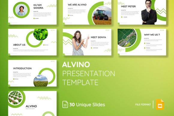 ALVINO: A Modern Template for Business Growth